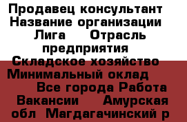 Продавец-консультант › Название организации ­ Лига-1 › Отрасль предприятия ­ Складское хозяйство › Минимальный оклад ­ 25 000 - Все города Работа » Вакансии   . Амурская обл.,Магдагачинский р-н